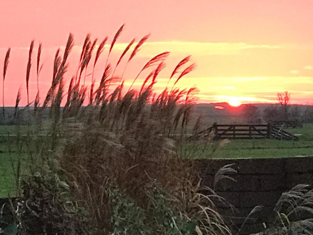 Havenzicht Texel 3* Oudeschild
