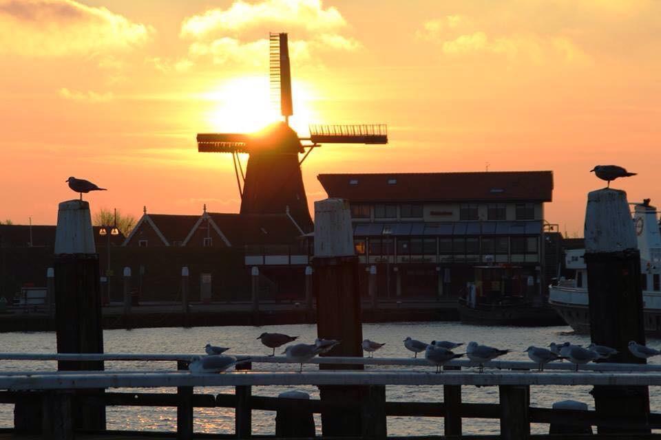 Hotel Havenzicht Texel Oudeschild